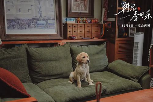 再见，李可乐