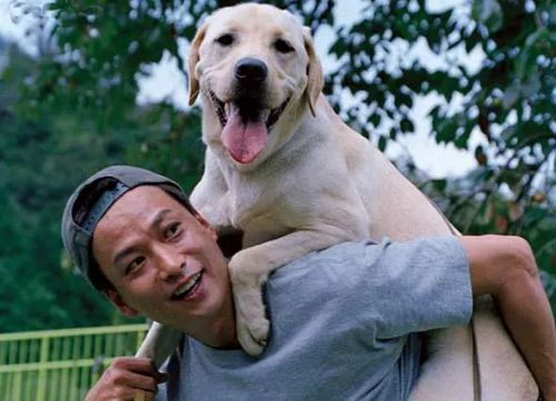 导盲犬小Q