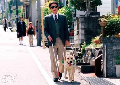 导盲犬小Q