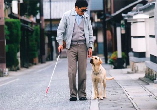 导盲犬小Q