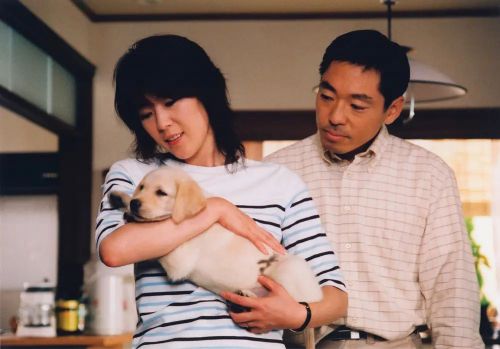 导盲犬小Q