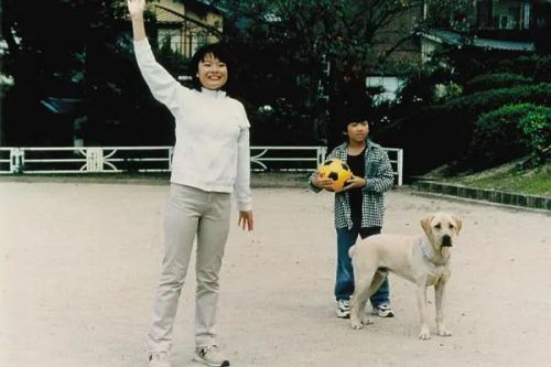 导盲犬小Q