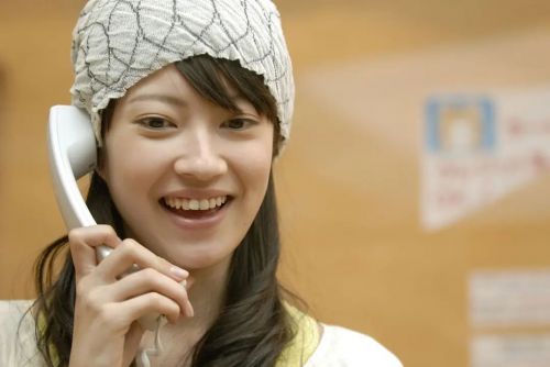 鸭子和野鸭子的投币式自动存放柜