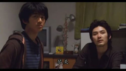 鸭子和野鸭子的投币式自动存放柜