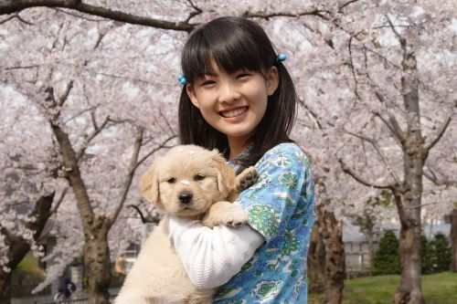 狗狗与我的十个约定