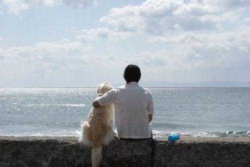 狗狗与我的十个约定