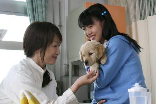 狗狗与我的十个约定