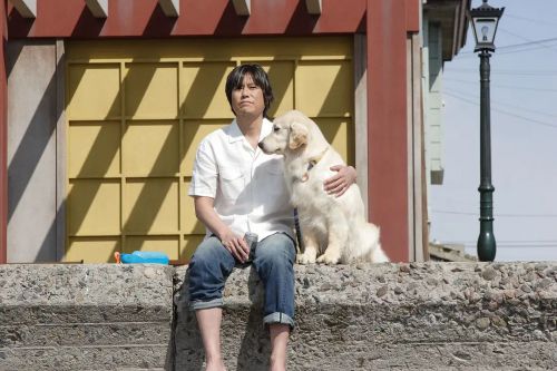 狗狗与我的十个约定