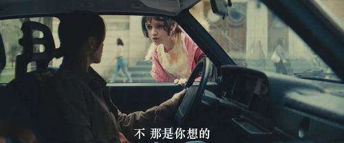 舐犊情深