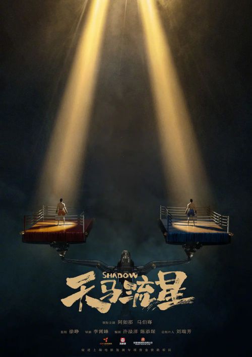 天马流星