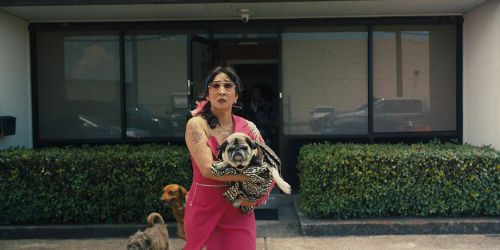 猜谜女士