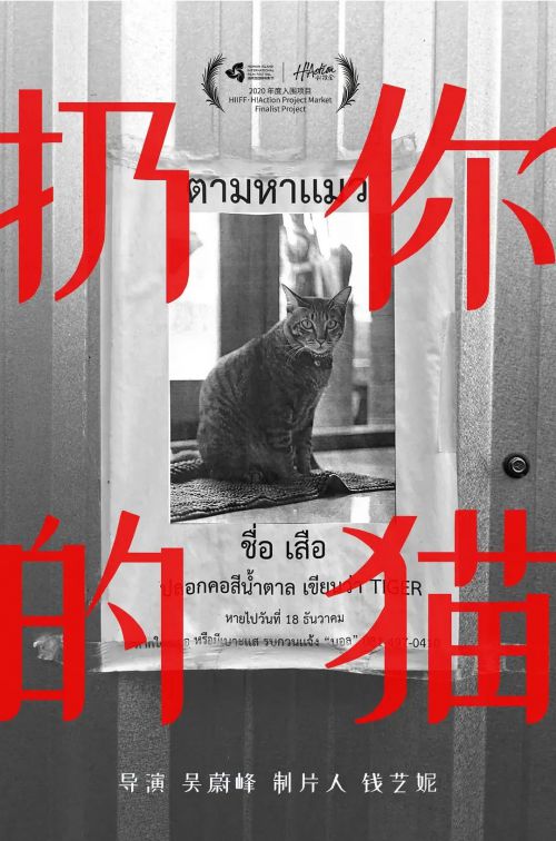 扔你的猫