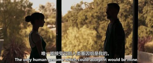 做个正常人