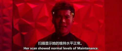 做个正常人