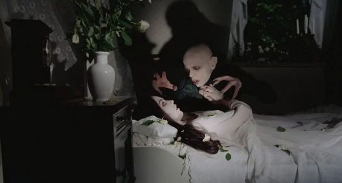诺斯费拉图：夜晚的幽灵