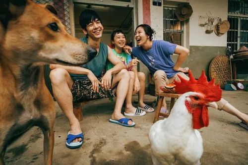 莎莉
