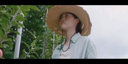 她的业余爱好