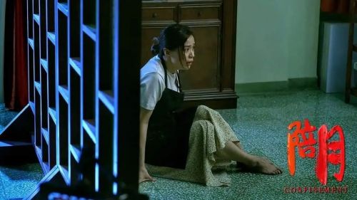 陪月疑云
