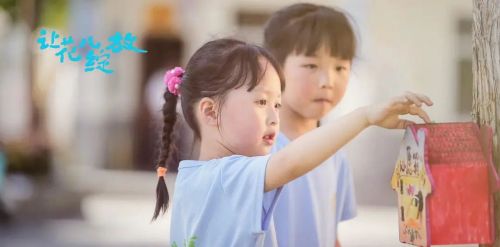 让花儿绽放