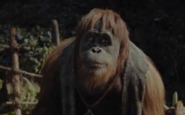 《猩球崛起：新世界》大陆预告片