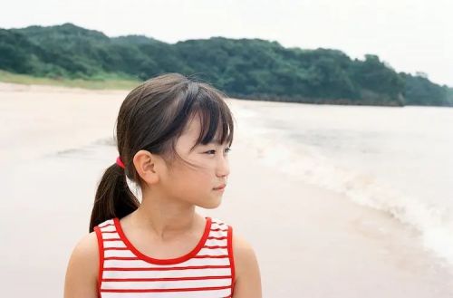 海边的金鱼 