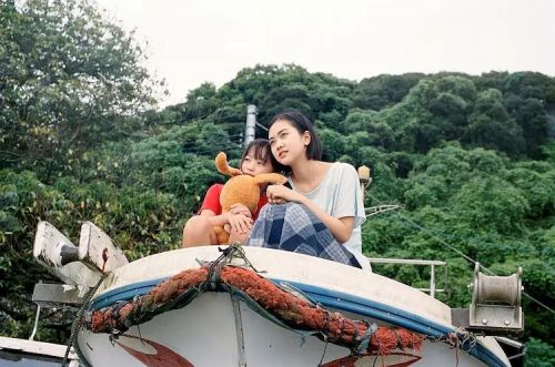 海边的金鱼 