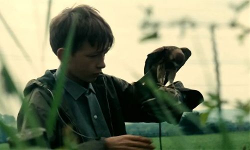小孩与鹰
