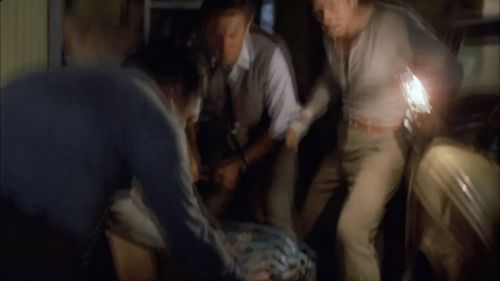 三狼奇案
