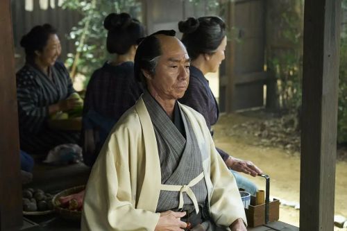 处刑人藤枝梅安1 仕掛人・藤枝梅安