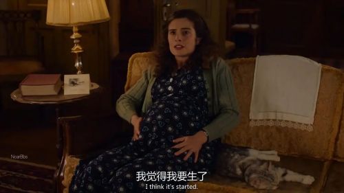 万物生灵：2023圣诞特别集
