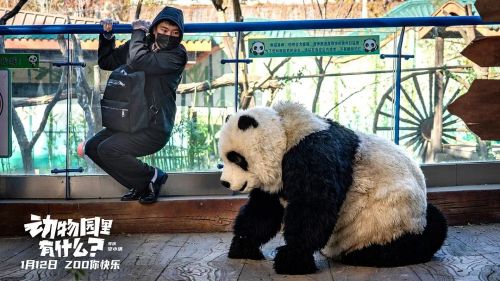 动物园里有什么？