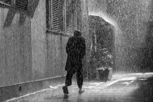 腐花之雨 花腐し