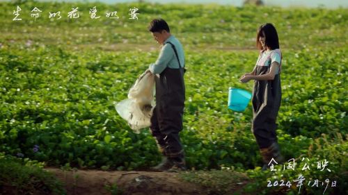 生命如花爱如蜜