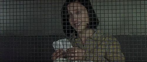 13朵玫瑰