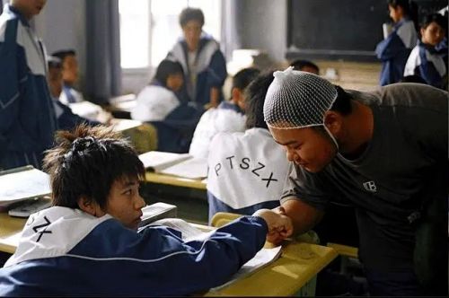 十三棵泡桐