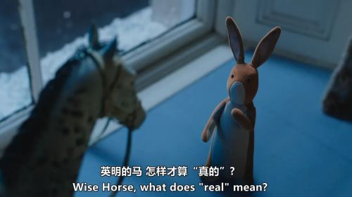 天鹅绒兔子