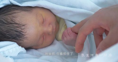 秦淮河边一间房