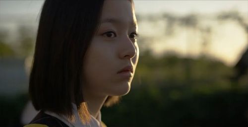 蜂鸟