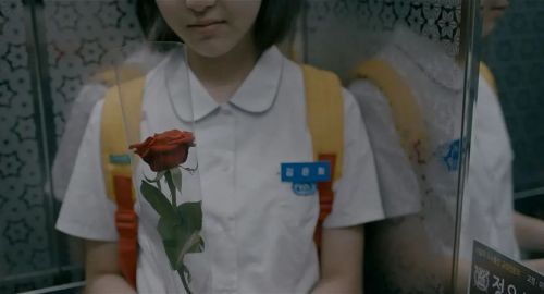 蜂鸟