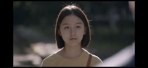 蜂鸟