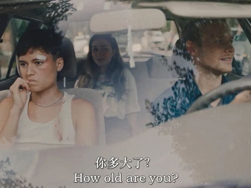 蠢货