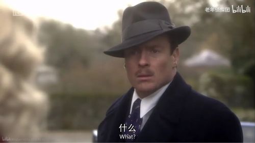 蓝色天竺葵