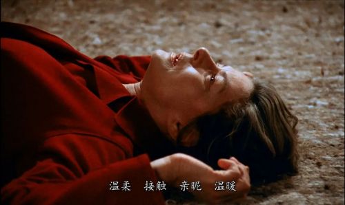 秋日奏鸣曲