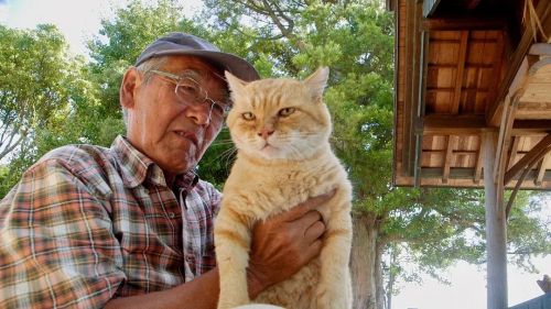 五香宫的猫