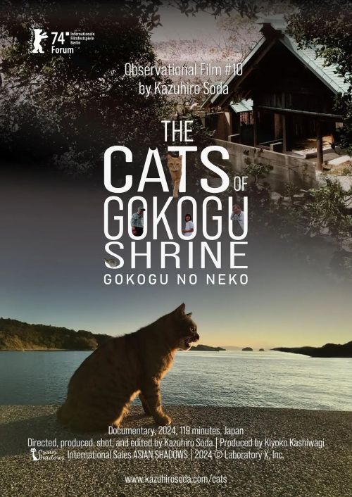 五香宫的猫 五香宮の猫
