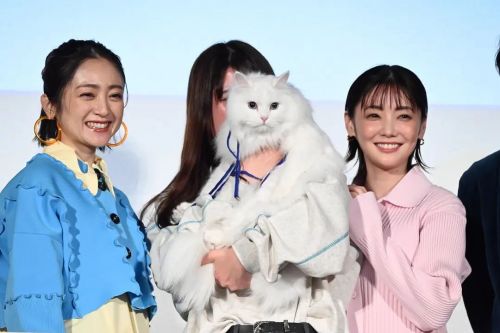 三日月与猫
