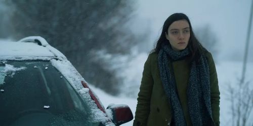 雪与熊