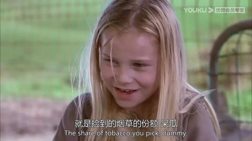 小树的故事