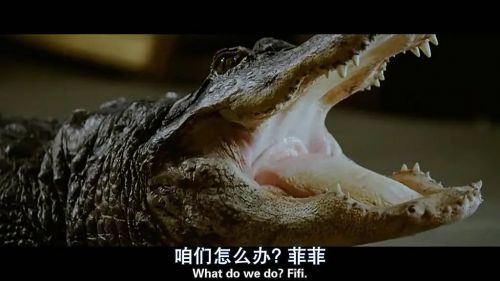 真爱满屋2：真假金龟婿