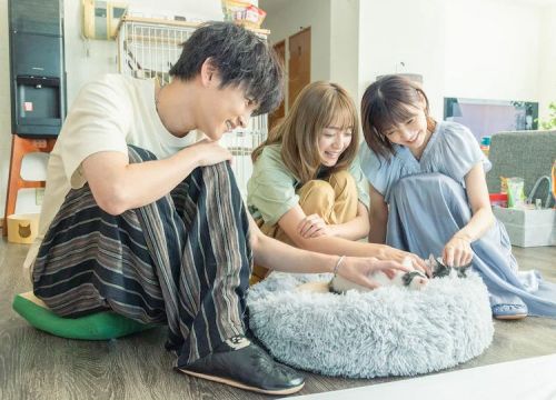 三日月与猫